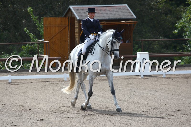 009M5370_Koriolan_Dressur S Inter I.JPG